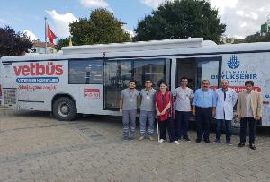 BÜYÜKADA SOKAK HAYVANLARI KONTROL MUAYENELERİ