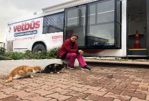 İBB VETERİNER HİZMETLERİ MÜDÜRLÜĞÜ ADALAR'DA..